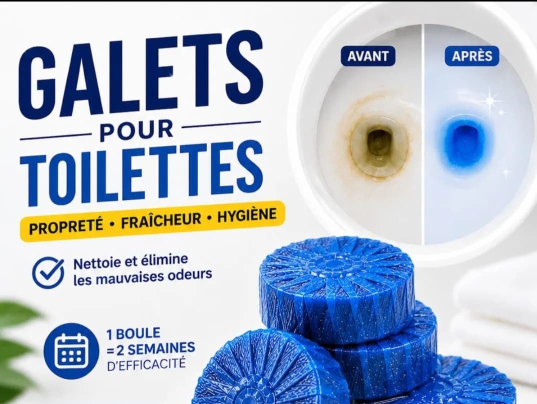 Le produit Galets pour toilettes lot de 12